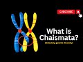 Understanding Chiasmata and Genetic Diversity