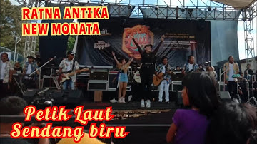 RATNA ANTIKA Bersama MONATA Petik Laut Di Sendangbiru Hari Ini | Efek Gedang Kluthuk