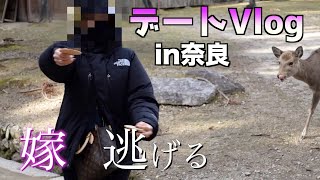 【Vlog】結婚4年目の夫婦が奈良のシカにせんべいをあげたらパニックになった