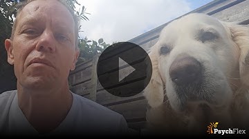 New Course: ACT-ify Your Dog with Gijs Jansen