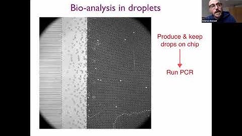 From the dynamics of microfluidic droplets to the dynamics of immune cells: Charles Baroud
