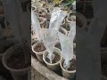 mencoba dan terus mencoba..!