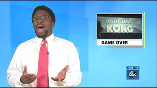 What Did We Miss: "Harambe Kong" video game sparks controversy