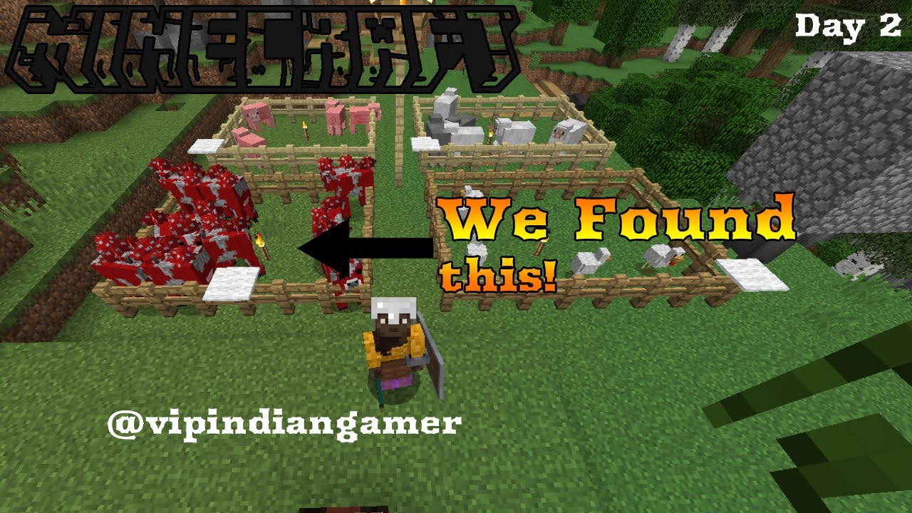 Live Minecraft || I made my own server || WE FOUND THIS HOW! - YouTube