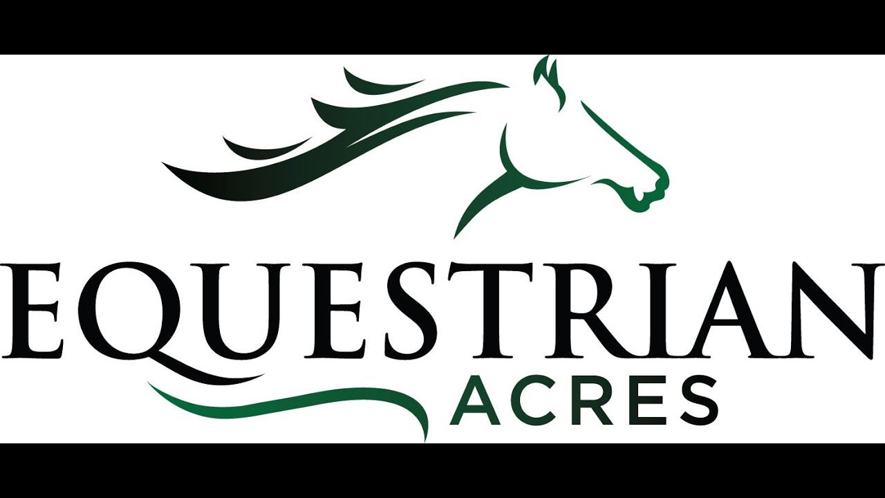 Inside Equestrian Acres 🐎 Full Tour of Stables, Paddocks & Arena
