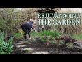 Shade garden cleanup  planting hostas  dividing plants to save   vlog