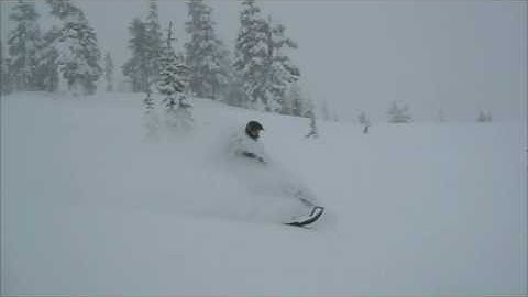 NoronaLife.com-Sled Heads 2