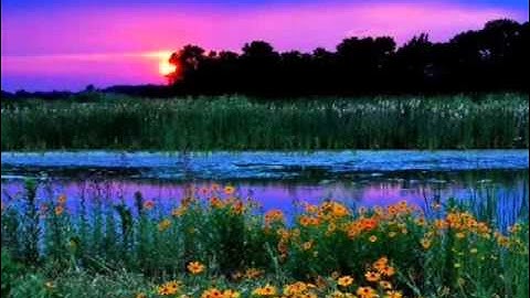 الشيخ سلمان العتيبي - سورة آل عمران الآية 190 - 195