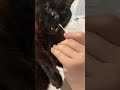 鼻がスッキリする薬を猫に塗った、黒猫のオスこうちゃん16歳