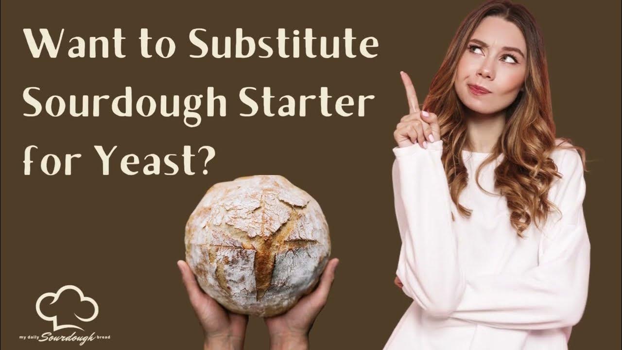 Want to Substitute Sourdough Starter for Yeast Here’s How! YouTube