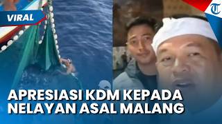 Dedi Mulyadi's Appreciation to the Malang Fisherman Who Saved the Whale Shark: Thank You for Prot...