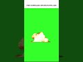 Fire Explosion #greenscreen #shots