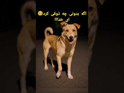 منتظرم نشسته بود تا بیام