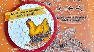 Chickens 🐣 and Carrots 🥕 projects #diannamarcumrecipebook #satmornmakes