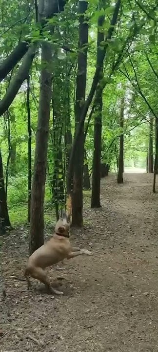 youtube.com