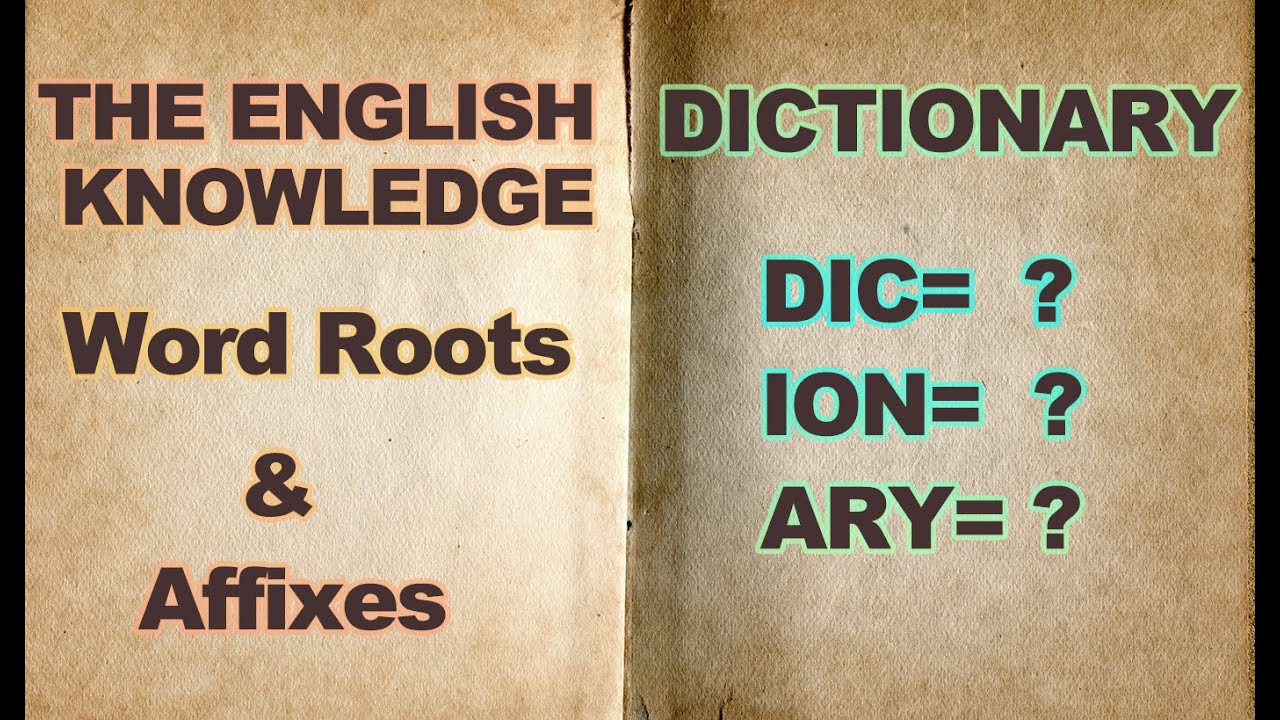 Why are there so many words in the dictionary｜ The English Word Roots & Affixes YouTube