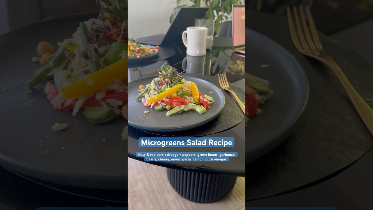 Microgreens salad recipe with kale & red acre cabbage. #microgreens #salads #saladrecipe #saladinspo