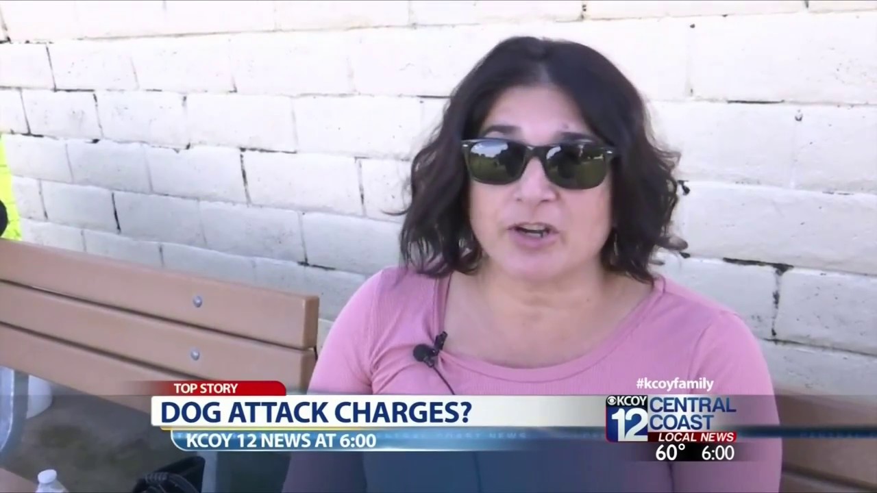 SLO County DA: Owner of deadly dog attack could face charges - YouTube