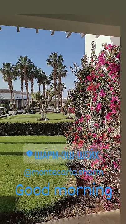 Egypt Sharm-El-Sheikh Hotel Monte Carlo Sharm Resort #egypt #sharmelsheikh #hotel #montecarlo #like