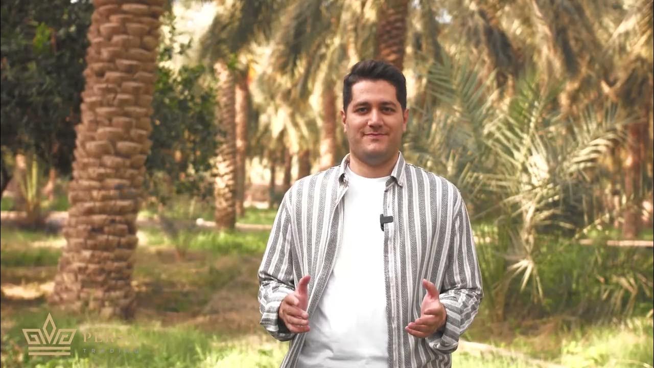 How to import dates from iran step by step with persa trading youtube