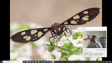 jelet computer application class..