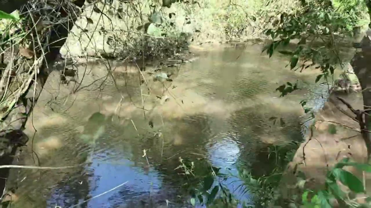 Vendo Fazenda 71 Hectares 2 irmão do Buriti, fica 6 KM da Cidade. 