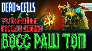 Пантеоны теперь в Клетках? / Босс Раш и Усложненные Боссы (часть 1/2) / Dead Cells Boss Rush Update