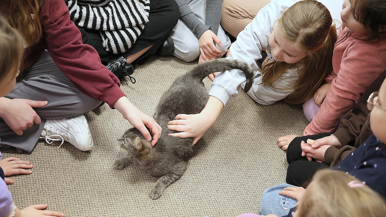 Dzieci spotkały zwierzęta w bibliotece