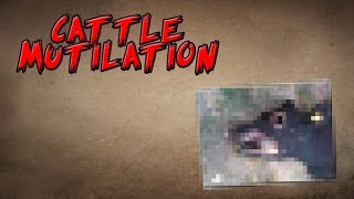 The Mystery of Cattle Mutilation @ScareTheater