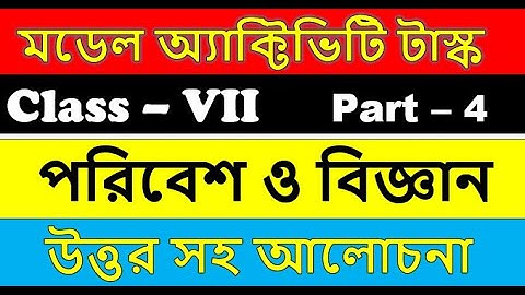 Class 7 Environment and science model activity task part 4