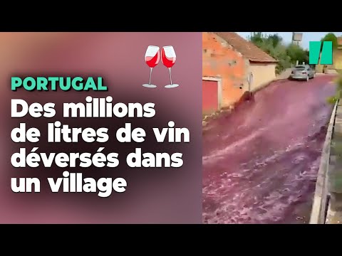 Au Portugal, un impressionnant torrent de vin rouge inonde un village au sud de Porto
