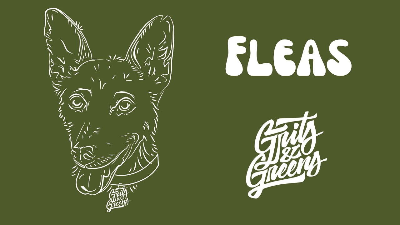 Watch Grits & Greens - Fleas (Lyric Video) on YouTube Watch Grits & Greens - Fleas (Lyric Video) on YouTube