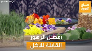 صباح العربية | الزهور القابلة للأكل.. موجة وموضة تنتشر في العالم العربي