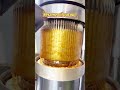 A blogger with over 1 million followers who used lewin oil press machine to get sesame oil