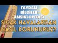 Sıcak Havalardan Nasıl Korunuruz? | Faydalı Bilgiler Ansiklopedisi | HayalEvi