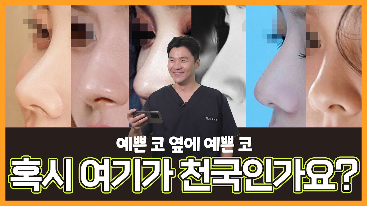 상담갈 때 이 사진 꼭 들고 가세요 [예쁜 코 여자 연예인]