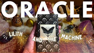 Lilith and the Machine Oracle 2025 #oracledeck #indieoracledeck
Welcome to this unboxing and full flip through of the Lilith and the Machine Oracle deck. The Lilith and the Machine Oracle is an indie deck created right here in Australia. I purchased this deck with my own money and in this video what you will find are my own thoughts and opinions.
Lilith and the Machine Oracle: https://www.lilithandthemachine.com.au/product-page/lilith-the-machine-oracle-limited-first-run-only-100-numbered
The deck is on its last print run so if you like the look of it, get in fast.
And dont forget to check out my links ✨
🔮✨ Discover the Magical World with Avalon Cameron! ✨🔮
🌟🌙 Seeking guidance as a New Witch? Look no further! Avalon Cameron is here to provide you with the support and knowledge you need on your enchanting journey. Join her incredible online teaching Coven and explore a variety of captivating Tarot readings that will illuminate your path. 🌟🌙
✨✨NEW TO WITCHCRAFT TAROT GUIDANCE SESSION ✨✨
🌟 Tailor-made just for you, this extraordinary session will point you in the right direction. Let Avalon guide you towards unlocking your true potential in the realm of Witchcraft and Tarot. Dont miss out! ➡️ Check it out here: www.avaloncameron.com ⬅️
🌟✨ AWESOME TAROT CLASSES AVAILABLE! ✨🌟
🔮 Are you ready to weave the mystical arts of Witchcraft and Tarot together? Avalons masterclasses are exactly what youve been waiting for! Discover the unique style and approach in these courses, specially crafted for the Tarot Readers Academy. Enrol now and embark on a journey like no other! 🌟
🔮 Ritual Tarot 🌙
🔮 Working the Witches Web 🔥
🔮 Spirit Work & Tarot 🌌
➡️ Dive into the enchantment at: TarotReadersAcademy.usefedora.com ⬅️
✨✨ FREE DIGITAL DOWNLOADS ✨✨
Discover a treasure trove of enchanting resources waiting for you! Avalon Cameron offers a collection of free digital downloads that will empower and inspire you on your magical path. Visit www.avaloncameron.com to access these invaluable resources today!
🔍🌐 EXPLORE MY WEBSITE 🌐🔍
➡️ www.avaloncameron.com ⬅️
Unveil the wonders of Avalons realm through her captivating website. Immerse yourself in a world of ancient wisdom, spellbinding insights, and empowering tools to enhance your Witchcraft and Tarot journey. Dont miss out—click the link and step into the magical realm now!
✨✨ JOIN ME ON PATREON! ✨✨
🌟 Seeking a Coven to call your own? Ready to dive deep into Tarot mysteries? Craving the company of magical beings like yourself? Look no further! Join Avalon Cameron on Patreon and unlock a world of magick, wisdom, and community. Experience the enchantment today! ➡️ www.patreon.com/avaloncameron ⬅️
🌙🔮 TAROT AND ORACLE READINGS AWAIT! 🔮🌙
Discover profound insights and mystical revelations through a personal Tarot or Oracle reading with Avalon Cameron. Head over to www.avaloncameron.com and book your reading today. Unveil the secrets of the universe and embrace the guidance that awaits you!
🎥📸 MY GEAR 📸🎥
🌟 Filmed with the powerful Sony A6400
🌟 Edited using the magic of Final Cut Pro
🌟 Captivating music from Epidemic Sound
🌟 Vlog Camera: Canon G7X MII
🌟 Mic: Rode Video Mic Mini
🎵🎶 MUSIC BY EPIDEMIC SOUND 🎶🎵
🌟🌙 Sending you much love and countless blessings on your extraordinary journey!
Join Avalon Cameron as she illuminates the path to your true magical potential. Explore, learn, and grow with the power of Witchcraft and Tarot. Let the adventure begin! 🌟🌙
With love and darkness,
Avalon 🖤 Lilith and the Machine Oracle 2025 #oracledeck #indieoracledeck