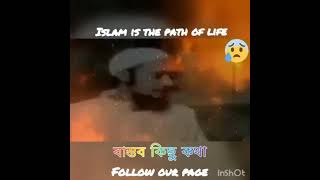 সারা জীবন পড়াশুনা করে কি লাভ হল। আবু ত্ব-হা মুহাম্মদ আদনান | Education System #shorts