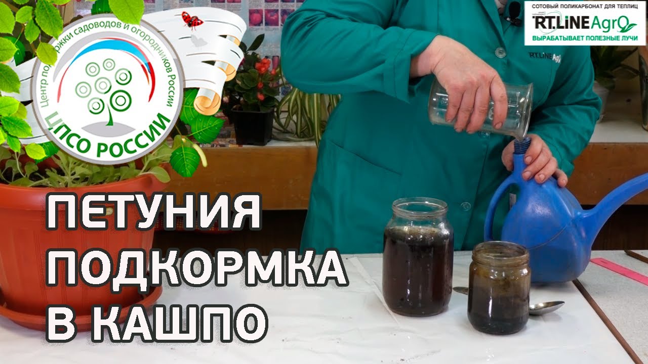 Как удалить и что это 55 Как удалить и что это 58