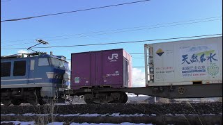 ヘッドマーク付きEF510-514牽引高速貨物【4K】信越本線下り3093レ