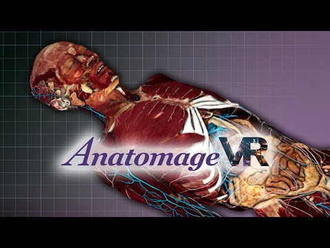 Anatomage VR: Real Anatomy In Virtual Reality