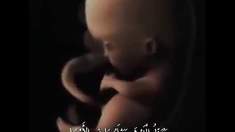 "فلا تغرنكم الحياة الدنيا ولا يغرنكم بالله الغرور'' القارئ اسلام صبحى