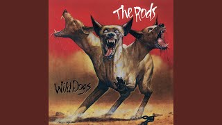 Wild Dogs