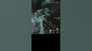 new project playtime speedrun (WR RECORD)