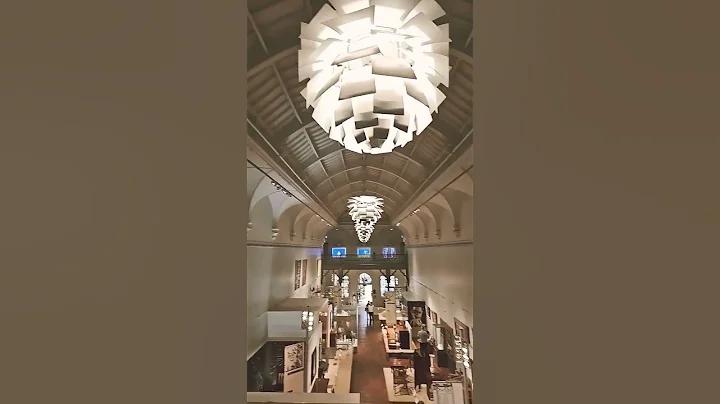 #brighton Museum &art Gallery 布莱顿美术 - 天天要闻