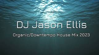 DJ Jason Ellis. Organic/downtempo House Mix