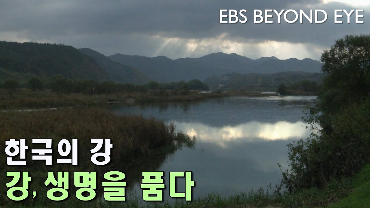 한국의 강 ㅣ 강, 생명을 품다 l River of Korea - YouTube