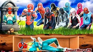 SUPERHERO's Story || Spider-Man really come back and turned into a ghost??? (Funny Action Real Life)