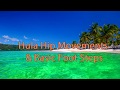 Basic Hula:  Hip Movements & Basic Foot Steps