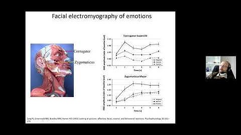 M23 Dr. Vladimir Kosonogov "Vegetative indices. Psychophysiology of emotions" IHNA/iBRAIN